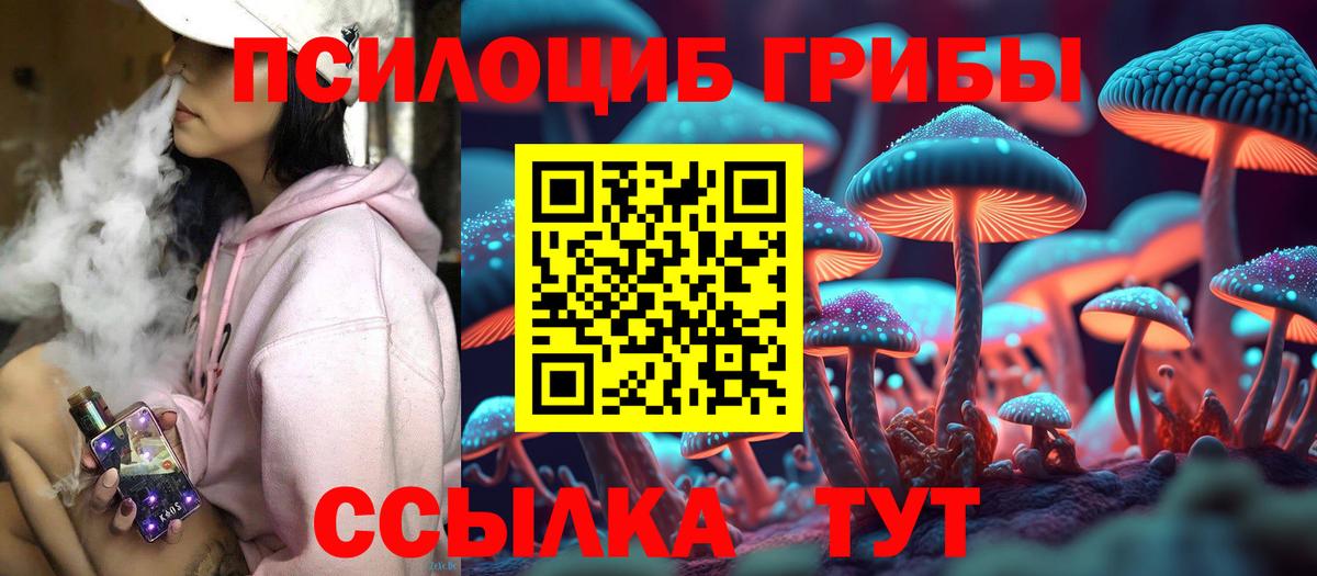 Нягань  Галлюциногенные грибы мицелий  Вход с VPN 